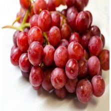 Anamur Naturel Tüplü Çekirdeksiz Aromalı  Flame Seedless Üzüm Fidanı