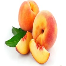 Anamur Naturel Tüplü Spring Bella Haziran Güzeli Şeftali Fidanı