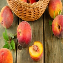 Anamur Naturel Tüplü Sarı Etli Spring Crest Şeftali Fidanı