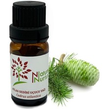Nature & Nurture Sedir Uçucu Yağı