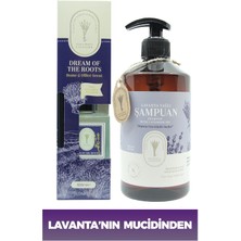 Dr. Lavender Çubuklu Lavanta Oda Kokusu 100 ml + Lavanta Şampuan 500 ml