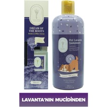 Dr. Lavender Dekoratif Lavanta Oda Kokusu 100 ml + Pire Önleyici Köpek Şampuanı 400 ml