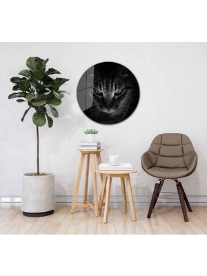 Idealizbiz Kedi Yuvarlak Cam Tablo 4mm Dayanıklı Temperli Cam