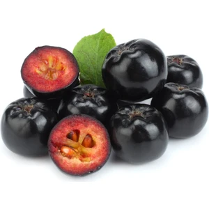 Aronia (Aronya) Fidanı