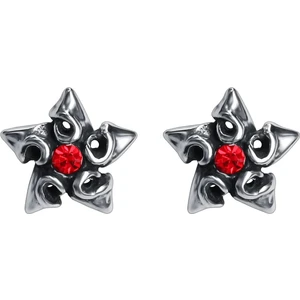 Kırmızı Yıldız Zirkon Taşlı Motorcu Modern Erkek Çelik Küpe (Çift)