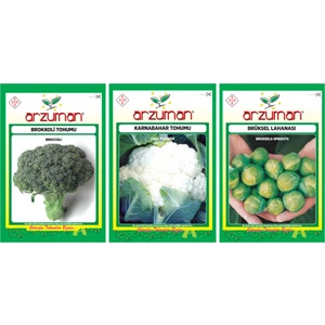 Brüksel Lahanası + Brokkoli + Karnabahar Tohum