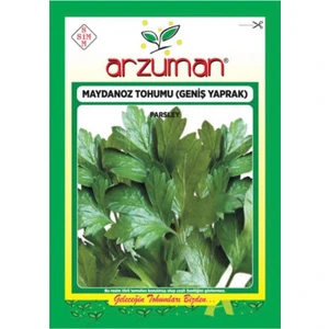 Maydanoz Tohumu Geniş Yaprak 10 gr