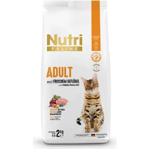 Nutri Feline Kümes Hayvanlı Yetişkin Kedi Maması 2 kg