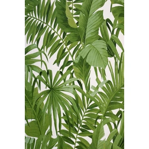 7845 Açık Yeşil Büyük Yapraklı Tropikal Duvar Kağıdı 5,33 M²
