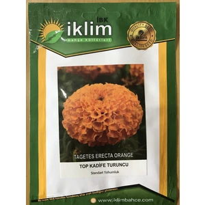 Karahasanoğlu Tarım Turuncu Top Kadife Çiçek Tohumu (Takribi 50 Adet Tohum)