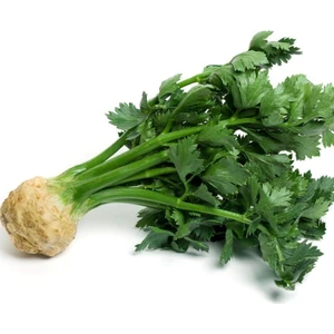 Anamur Naturel Geleneksel Kereviz Fidesi (5 Adet) Sınırlı Stok