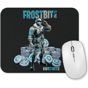 Baskı Dükkanı Fortnite Frostbite Mouse Pad