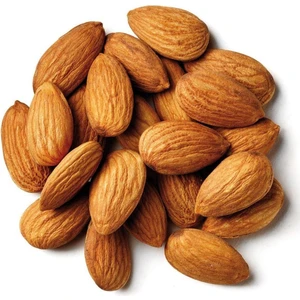 Anamur Naturel Tüplü Aşılı Yarıbodur Bol Verimli Carmel Badem Fidanı