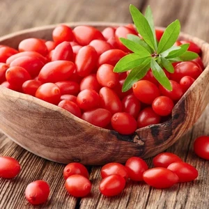 Anamur Naturel Tüplü Nq7 Kırmızı Goji Berry Fidanı