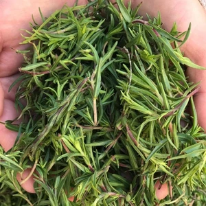 Anamur Naturel Kış Kekiği Tohumu (200 Tohum)