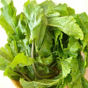 Anamur Naturel Doğal Hardal Otu TOHUMU(100 Tohum)