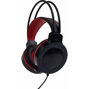 Slayer 5.1 USB Oyuncu Kulaklığı - DSP005