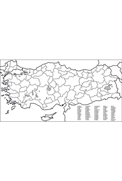 Statik Kağıt Türkiye Haritası 93 x 48 cm