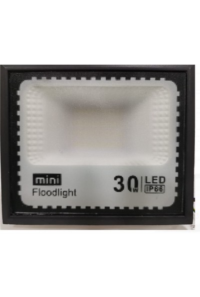 Masiva 30W LED Projektör Buzlu Cam Beyaz Işık IP65