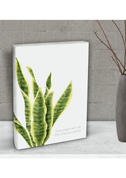 Gift Green Plant Tasarımlı Dekoratif Mini Kanvas Tablo fiyatları