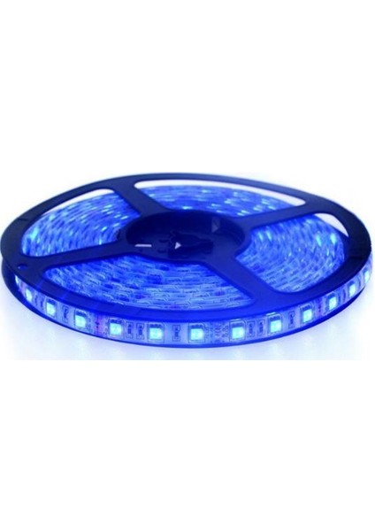 Şerit LED Mavi 60 LED 5 M