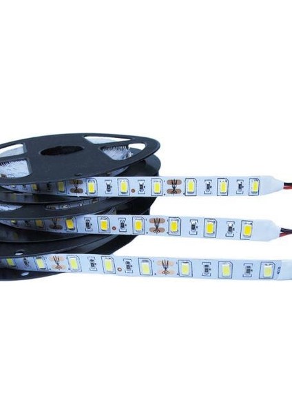 Şerit LED Mavi 60 LED 5 M