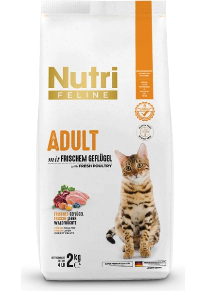 Nutri Feline Kümes Hayvanlı Yetişkin Kedi Maması 2 kg