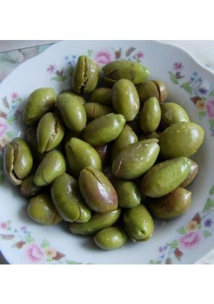 Tüplü Aşılı Iri Taneli Kırmalık Çekişte Zeytin Fidanı