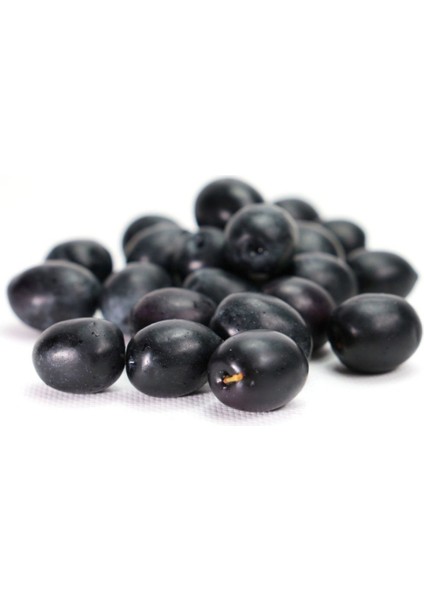 Tüplü Salamuralık Gemlik Zeytin Fidanı