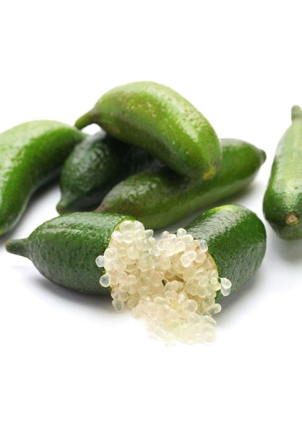 Tüplü Aşılı Mikro-Narenciye Finger Lime Fidanı (10-30 Cm)