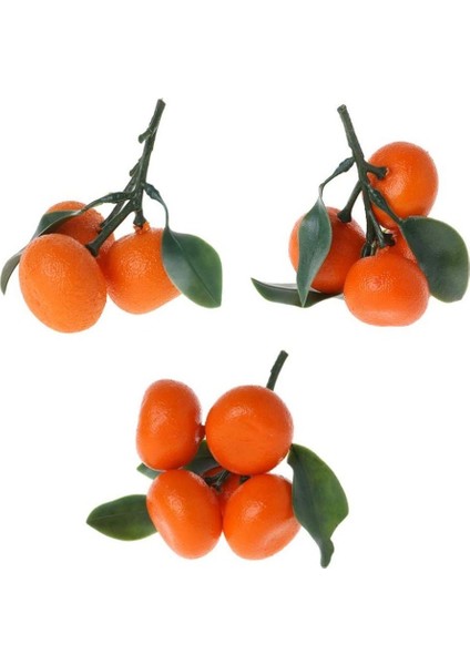 Tüplü Aşılı Uzun Ömürlü King Mandalina Fidanı