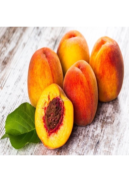 Tüplü Aşılı Tam Bodur Kendine Verimli Glohoven Şeftali Fidanı