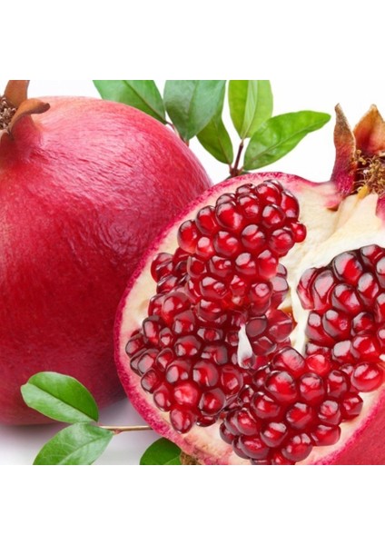 Tüplü Yüksek Aromalı Mayhoş Çekirdeksiz Yılmaz Nar Fidanı