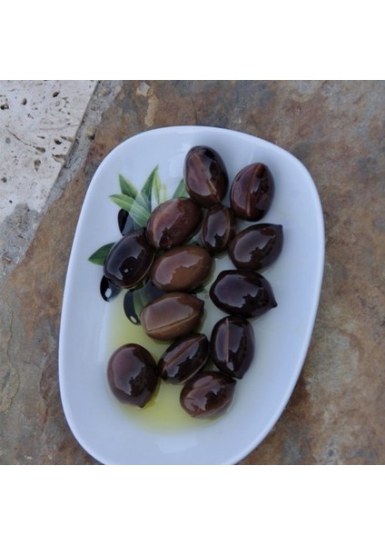 Tüplü Iri Meyveli Memecik Zeytin Fidanı