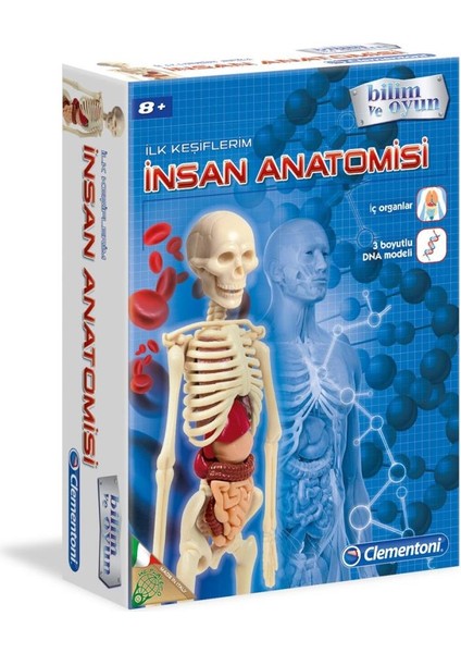 - Ilk Keşiflerim - Insan Anatomisi