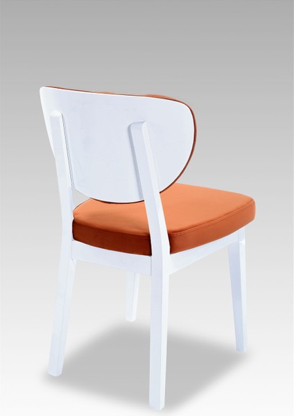 Boston Yemek Sandalyesi - Mutfak Sandalyesi - Sandalye fiyatları