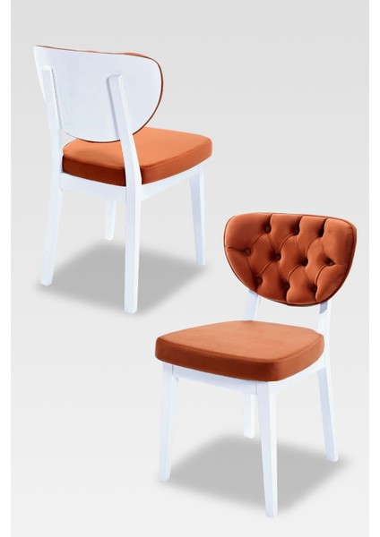 Boston Yemek Sandalyesi - Mutfak Sandalyesi - Sandalye modelleri