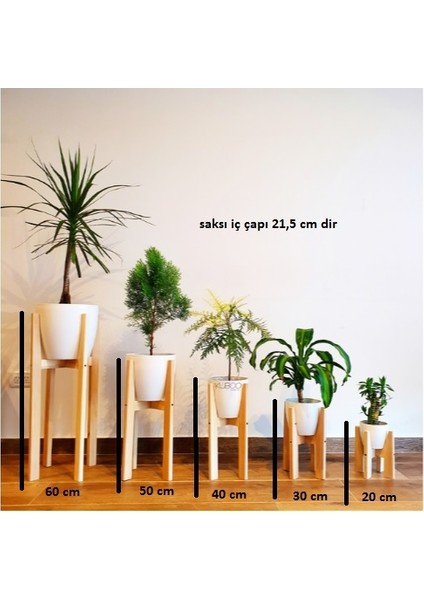Ahşap Atölye Ahşap Saksılık Masif Ahşap Çiçeklik 5 Li Set