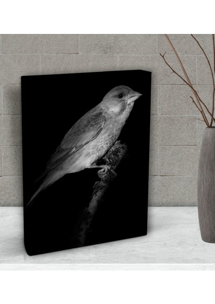 Gift Kanarya Tasarımlı Dekoratif Mini Kanvas Tablo 15 x 20 Cm-1 fiyatları