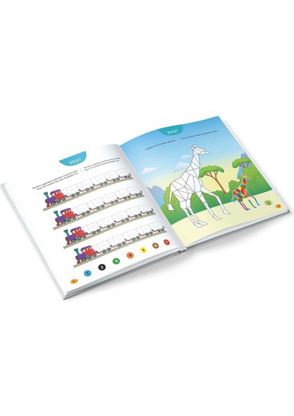 Paint 7+ Yaş Level 1 - IQ Dikkat ve Yetenek Geliştiren Kitaplar Serisi 1