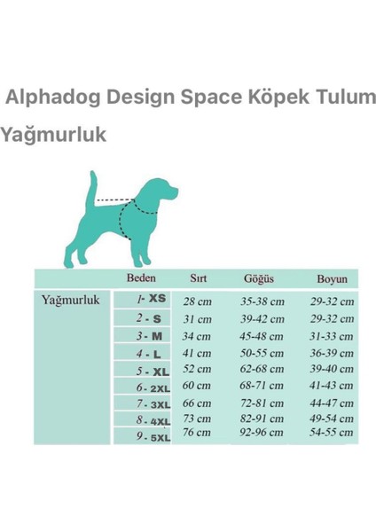 Space Jam Ince Köpek Yağmurluğu L