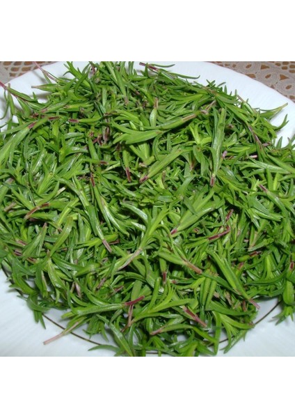 Zahter Kekiği Tohumu (200 Tohum)