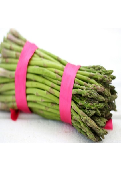 Asparagus Kuşkonmaz TOHUMU-495 Adet