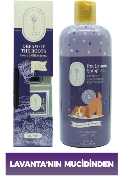 Dr. Lavender Dekoratif Lavanta Oda Kokusu 100 ml + Pire Önleyici Köpek Şampuanı 400 ml