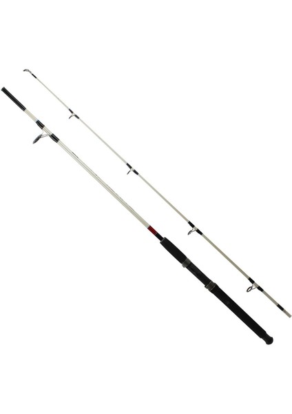 Ashi Gani 6,6 8-15LB Kamış