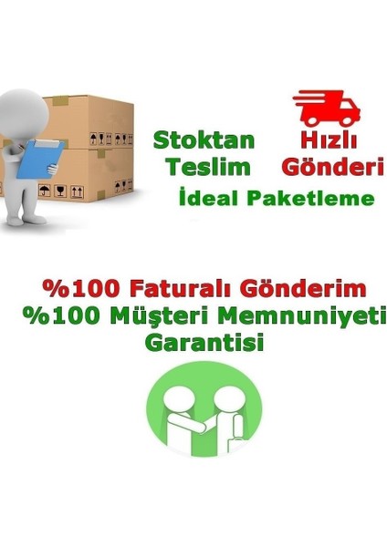 Saksılı Turuncu Sakız Sardunya Çiçeği (16 Lık Saksıda)