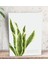 Gift Green Plant Tasarımlı Dekoratif Mini Kanvas Tablo 1