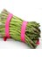 Doğal Kuşkonmaz (Asparagus) Fidesi (5 Adet) 1