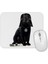 Kedi Star Wars Cat Vader Mouse Pad 1