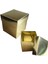 Komple Karton Kutu 10 x 10 x 10 - 10 Adet Gold 1